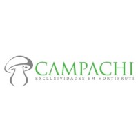 Campachi Distribuidora logo - Similar company to Tm8 Distribuidora