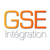 GSE Integration logo - Similar company to Revilo Developments Limited