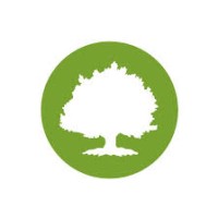 Oak Street Health MSO LLC logo - Similar company to Rainbow Tree Inc.