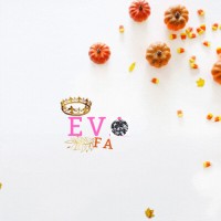 EvA Fa logo - Similar company to Bag The Future