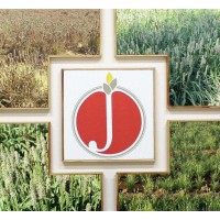 JYOT OVERSEAS PVT.  LTD. logo - Similar company to Prime Psyllium