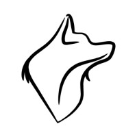 the shirt dandy logo - Similar company to Tailoor