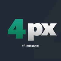 4px logo - Similar company to 4Px 递四方