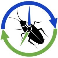 All Day Pest Services