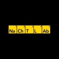 Nachtlab logo - Similar company to Emoves