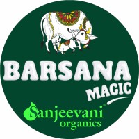 Sanjeevani Agrofoods Private Limited logo - Similar company to Digital Engineering Excellence Programming