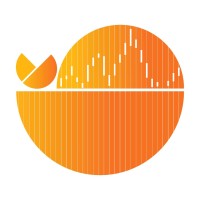 Stofin Ventures Pvt Ltd logo - Similar company to Zebrians