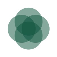 RAISE - Research & Action for Income Security logo - Similar company to Officelab A/S