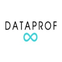dataprof.io logo - Similar company to Favs