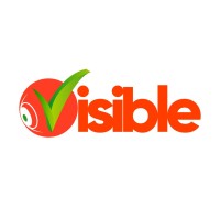 VISIBLE logo - Similar company to Sinfhony