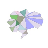 Brain Surprise