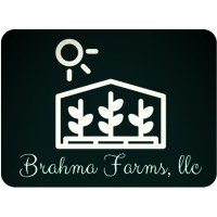 Brahma Farms logo - Similar company to Agroco