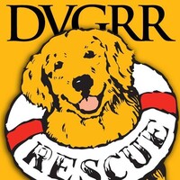 Delaware Valley Golden Retriever Rescue