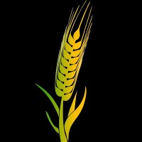 Reaper Advanced Research Projects logo - Similar company to Helm Technologies