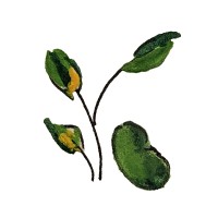 Baby Bean Consulting logo - Similar company to Vidly It