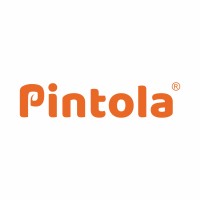 Pintola logo - Similar company to Hetfy Software Solutions Llp ®