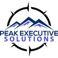 Peak Executive Solutions logo - Similar company to System & Soul