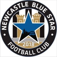 Newcastle Blue Star Football Club logo - Similar company to Fcv International Football Academy