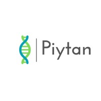 Piytan logo - Similar company to Datademi