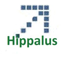 Hippalus Technologies logo - Similar company to Bellwethr
