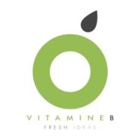 Agence Vitamine B logo - Similar company to Paysbasque.Net