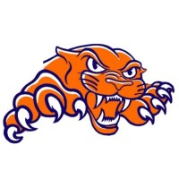 Pana Cusd 8 School District