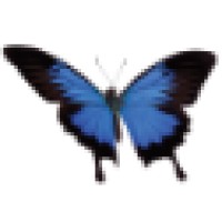 Psychotherapy Private Practice logo - Similar company to Psychotherapy & Spirituality Institute