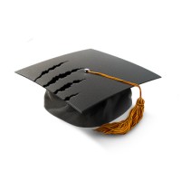 Essay Tigers logo - email format related to EssayTurf