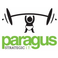 Paragus IT logo - Similar company to Netlogix