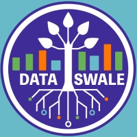 Data Swale logo - Similar company to South Florida Data Geeks