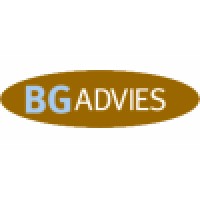 BG Advies logo - Similar company to Justplugin