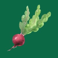 Littlefield Projects logo - Similar company to The Rum Runner