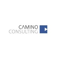 Camino Consulting logo - Similar company to Medlead360