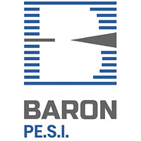 BARON PE.S.I. logo - Similar company to Software Consultant