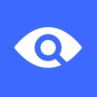 VizSense logo - Similar company to Razher Collaborative