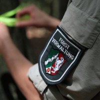 Wald und Holz NRW logo - Similar company to Forest Research Institute Baden-Württemberg