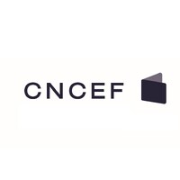 CNCEF logo - Similar company to Cncgp - Chambre Nationale Des Conseils En Gestion De Patrimoine