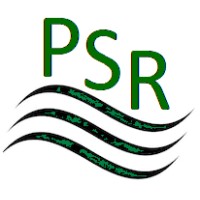 Pump Service and Rental LLC logo - Similar company to Memorial Machine