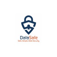 Data Safe Group LLC logo - Similar company to Techvillage Innovation Hub