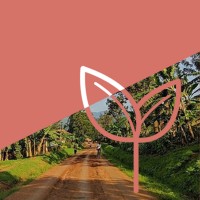 Path to Prosper logo - Similar company to Action Network