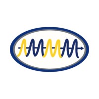 Asociación Mexicana de Microscopía y Microanálisis logo - Similar company to Jeol Brasil