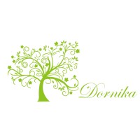 شرکت نرم افزاری درنیکا logo - Similar company to شرکت نرم افزاری آدا