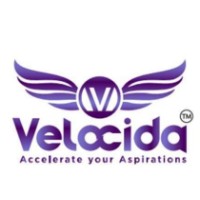 Velocida Private Limited logo - Similar company to Hallmark Foundations Ltd