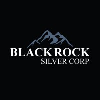Blackrock Silver Corp logo - Similar company to Perseverance Metals