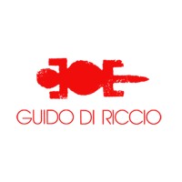 Guido di Riccio logo - Similar company to Backstage Service Group