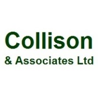 Collison and Associates Limited logo - Similar company to Thruline