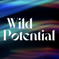 Wild Potential logo - Similar company to Kalani