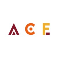 ACE - Audit Conseil Expertise Formation logo - Similar company to Ace Audit Et Conseil Des Entreprises