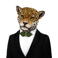 JUNGLE logo - Similar company to Nomia Digital
