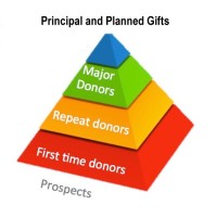 Carlton & Company - Fundraising Campaigns logo - Similar company to Elev8